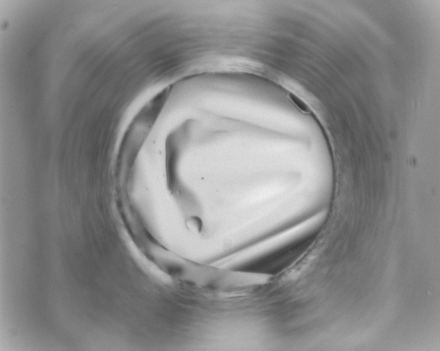 X0000070411152200606302030