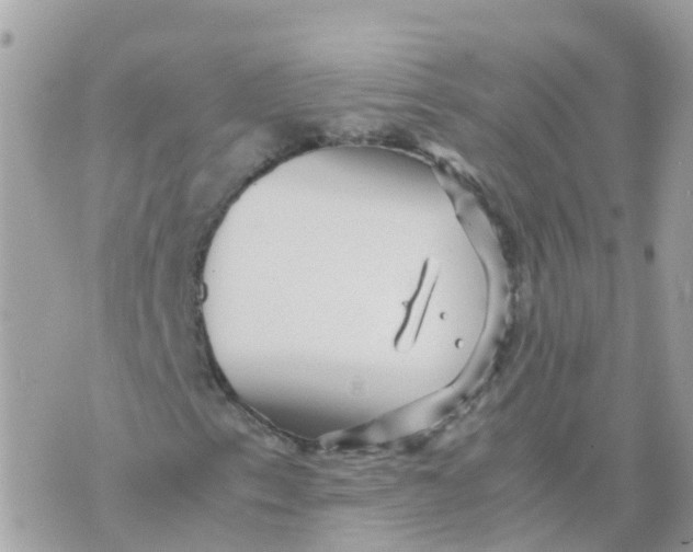 X0000070411153200606302029