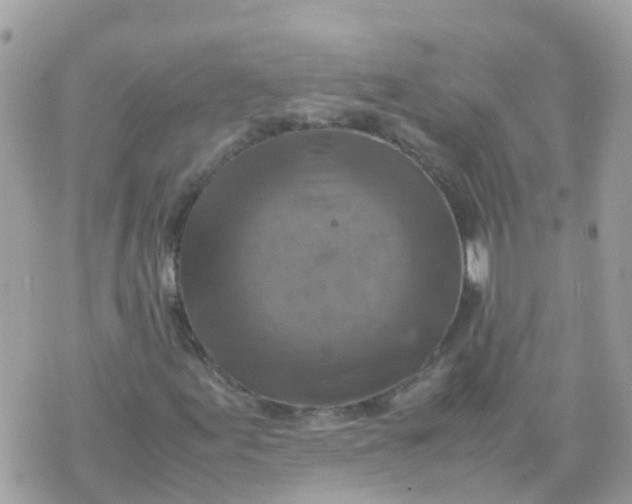 X0000070411155200606302029