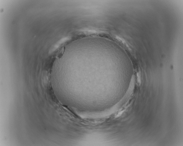 X0000070411157200606302029