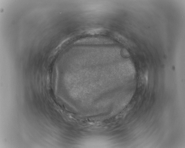 X0000070411158200606302029