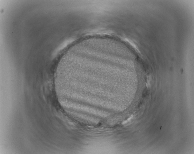 X0000070411159200606302029