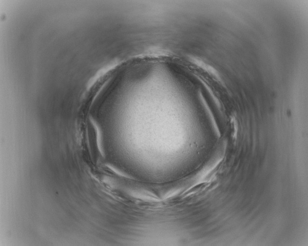 X0000070411160200606302029