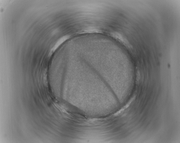 X0000070411162200606302029