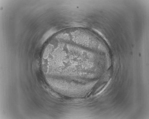 X0000070411163200606302029