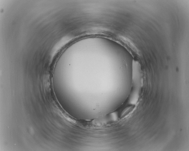 X0000070411164200606302029