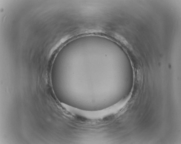 X0000070411165200606302029