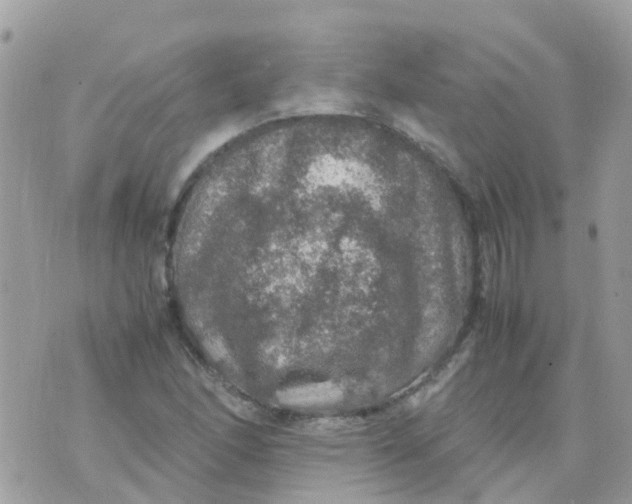 X0000070411166200606302029