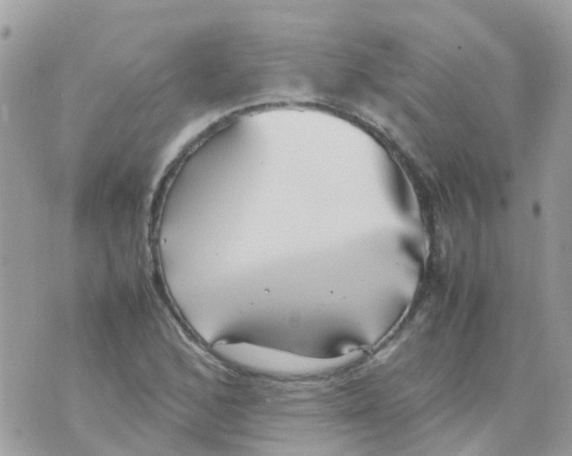 X0000070411168200606302029