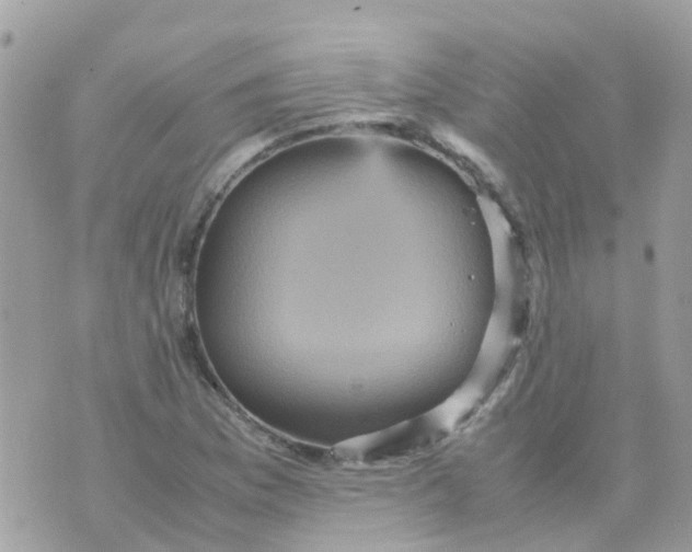 X0000070411169200606302029