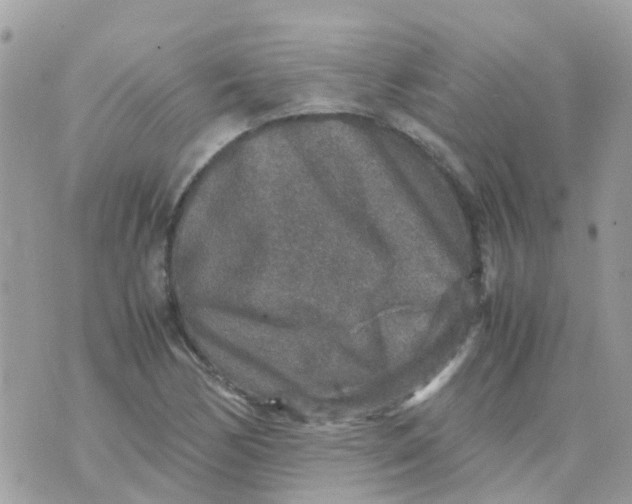 X0000070411170200606302029