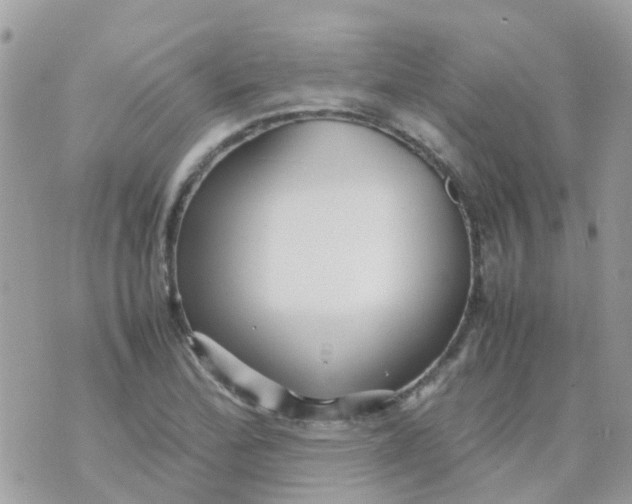 X0000070411172200606302029