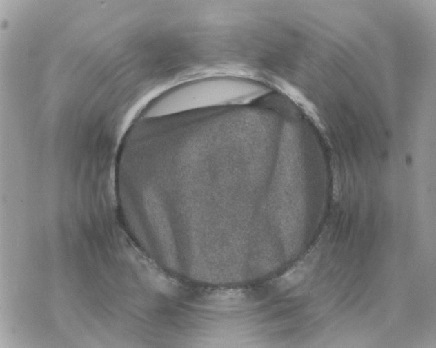 X0000070411174200606302029