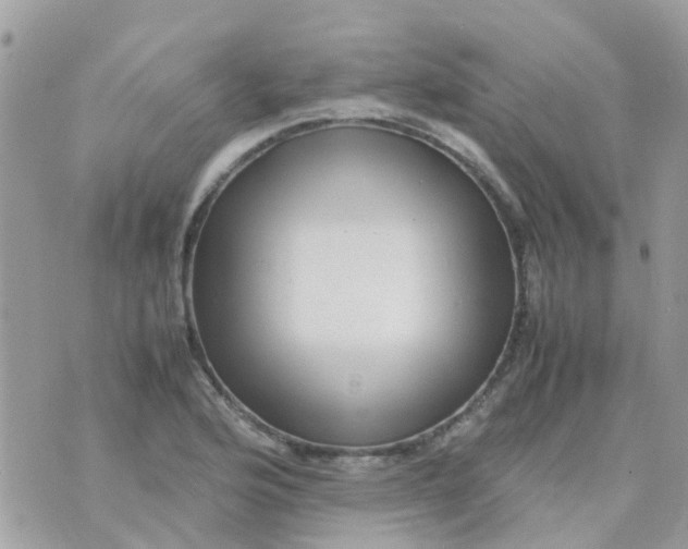 X0000070411176200606302029