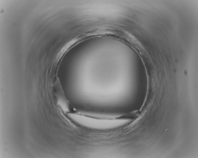 X0000070411177200606302029