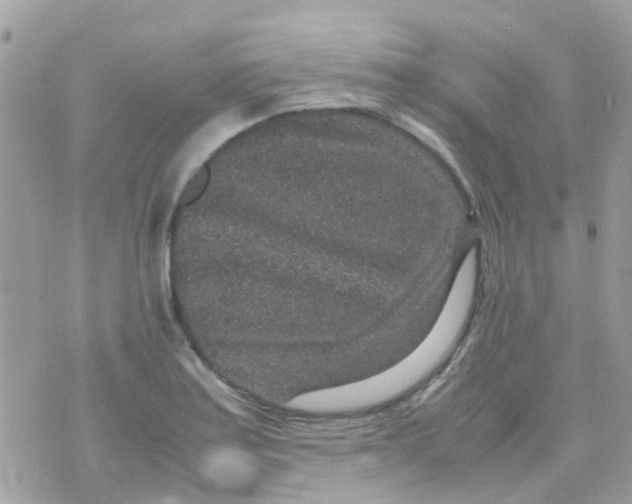 X0000070411179200606302029