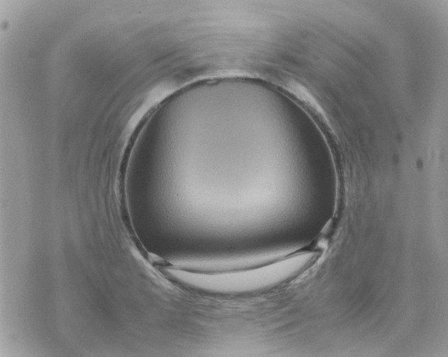 X0000070411181200606302029