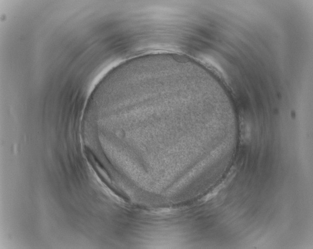 X0000070411182200606302029