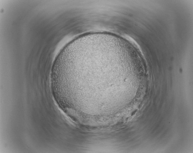 X0000070411183200606302029