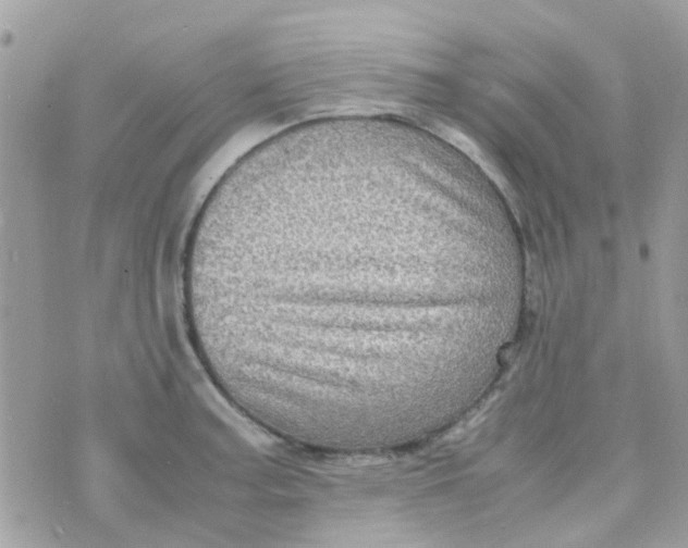 X0000070411187200606302028