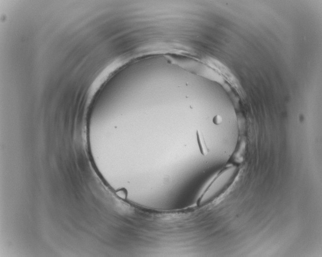 X0000070411188200606302028