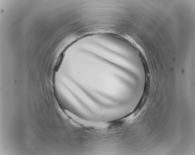 X0000070411189200606302028