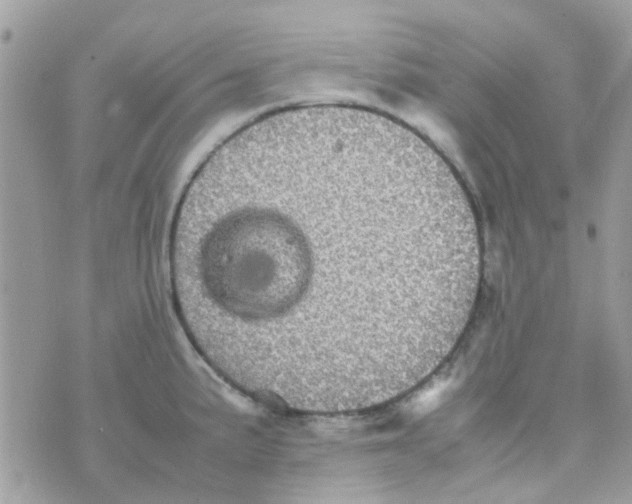 X0000070411191200606302028