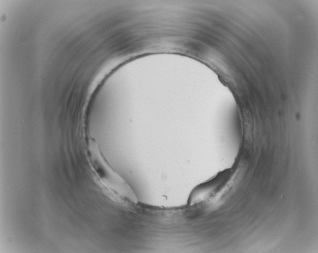 X0000070411192200606302028