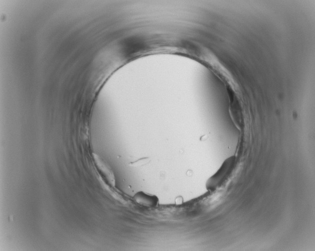 X0000070411193200606302028