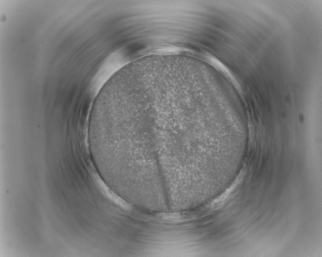 X0000070411194200606302028