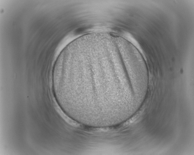 X0000070411195200606302028