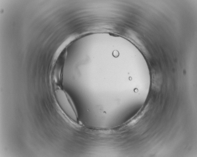 X0000070411196200606302028