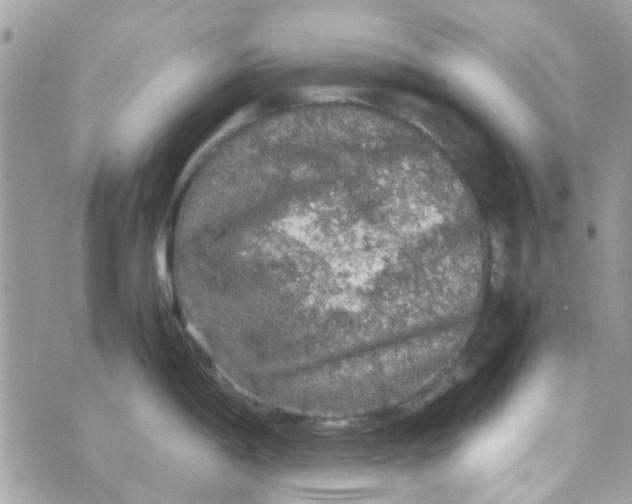 X0000070411198200606302028