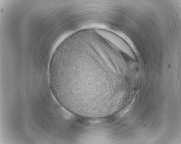 X0000070411199200606302028