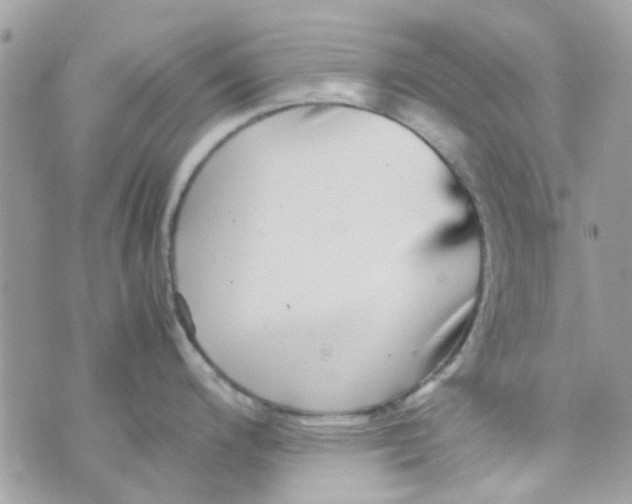 X0000070411200200606302028