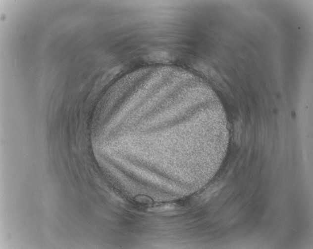 X0000070411201200606302027