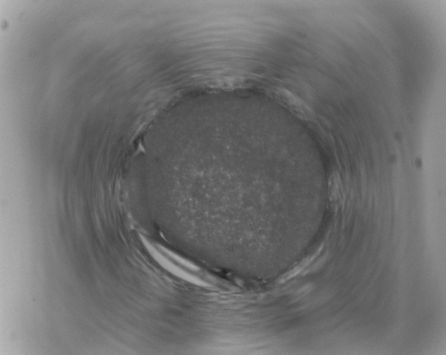 X0000070411202200606302028