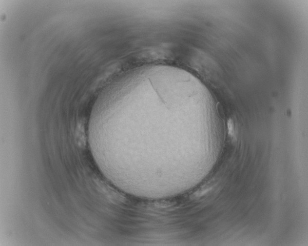 X0000070411203200606302028