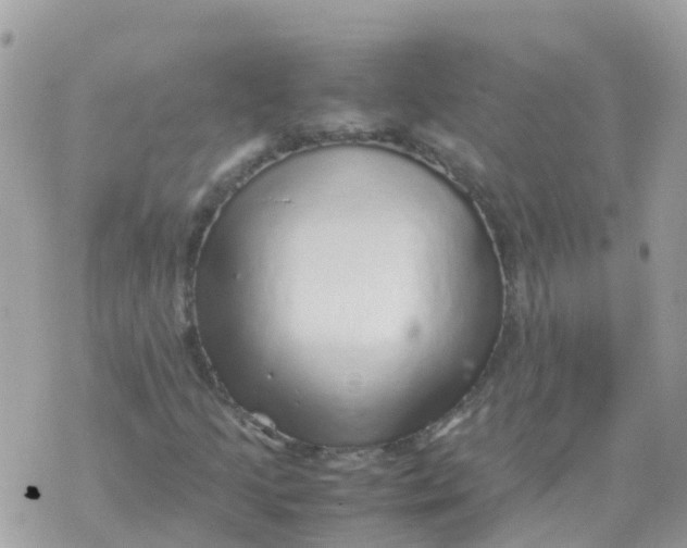 X0000070411205200606302028