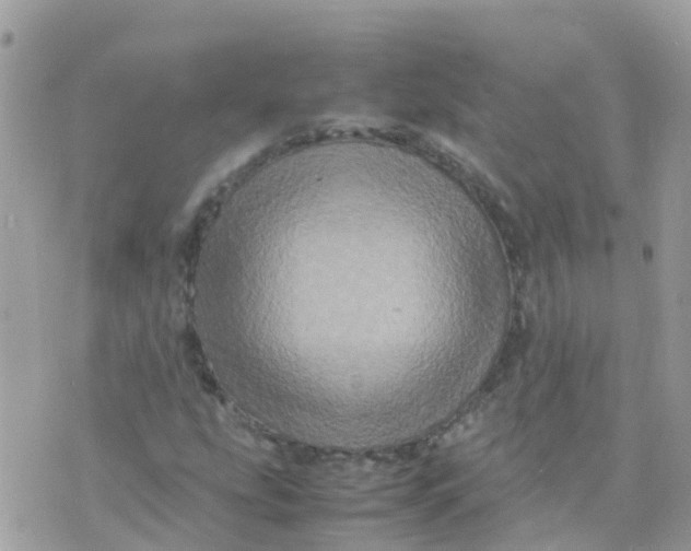 X0000070411207200606302028