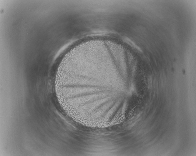 X0000070411208200606302028