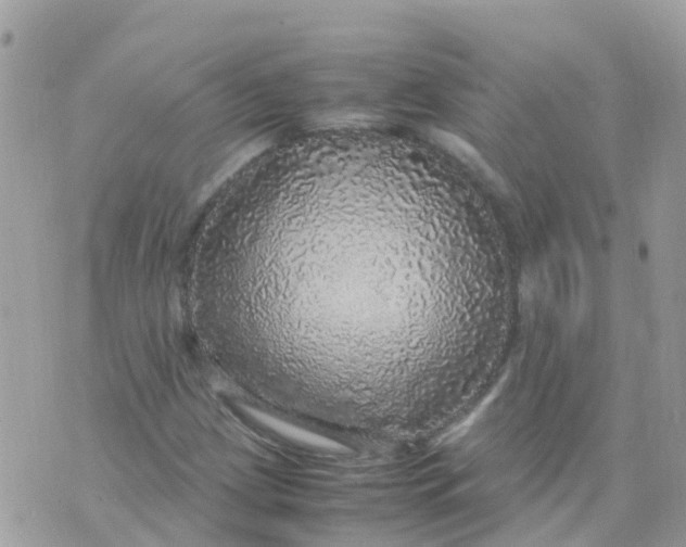 X0000070411209200606302028