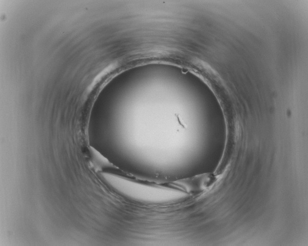 X0000070411210200606302028