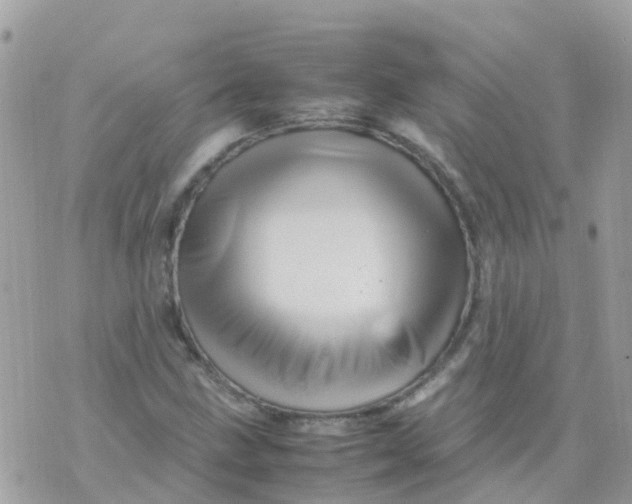 X0000070411211200606302028