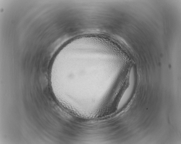 X0000070411212200606302028