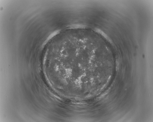 X0000070411213200606302028