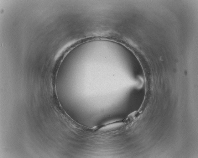 X0000070411214200606302028