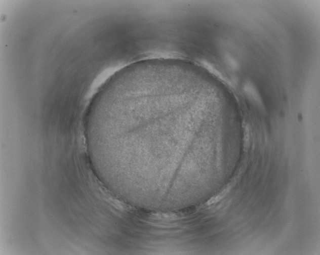 X0000070411215200606302028