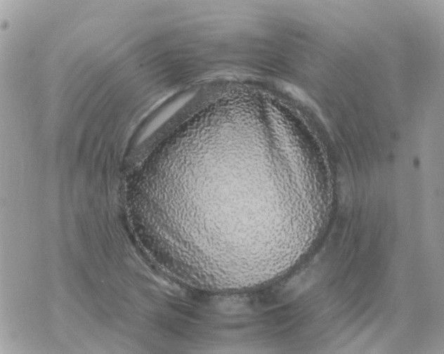 X0000070411217200606302028