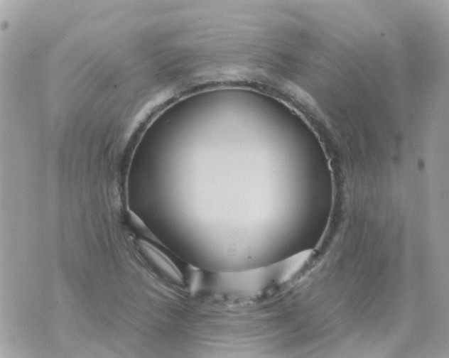 X0000070411218200606302028